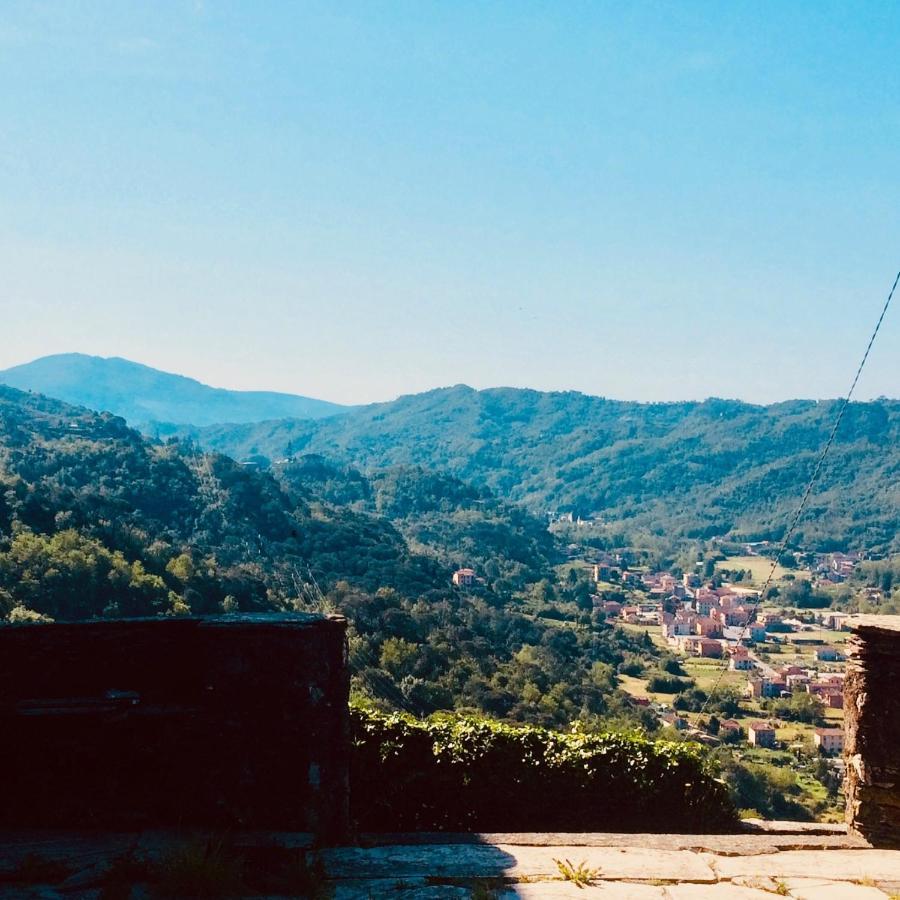 Double Room Mountain View