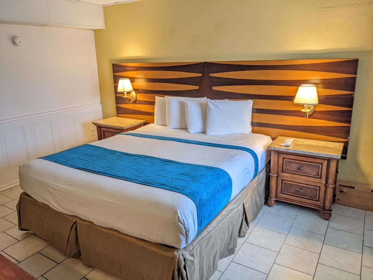 Superior King Room,1248478192:JPEG