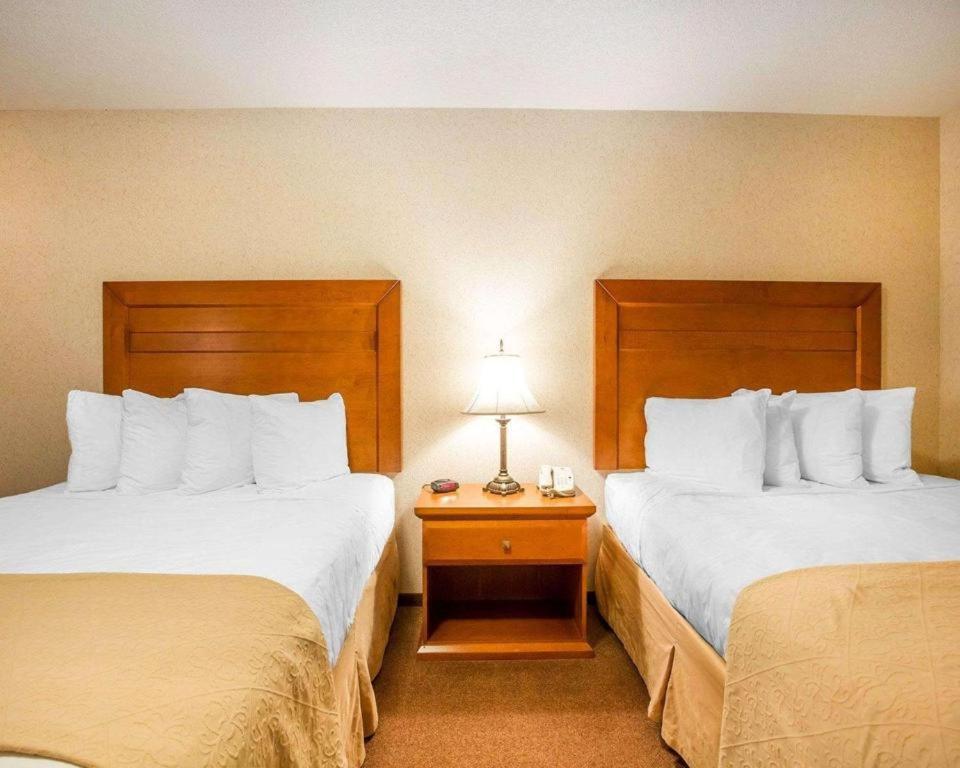 Queen Room with Two Queen Beds - Non-Smoking