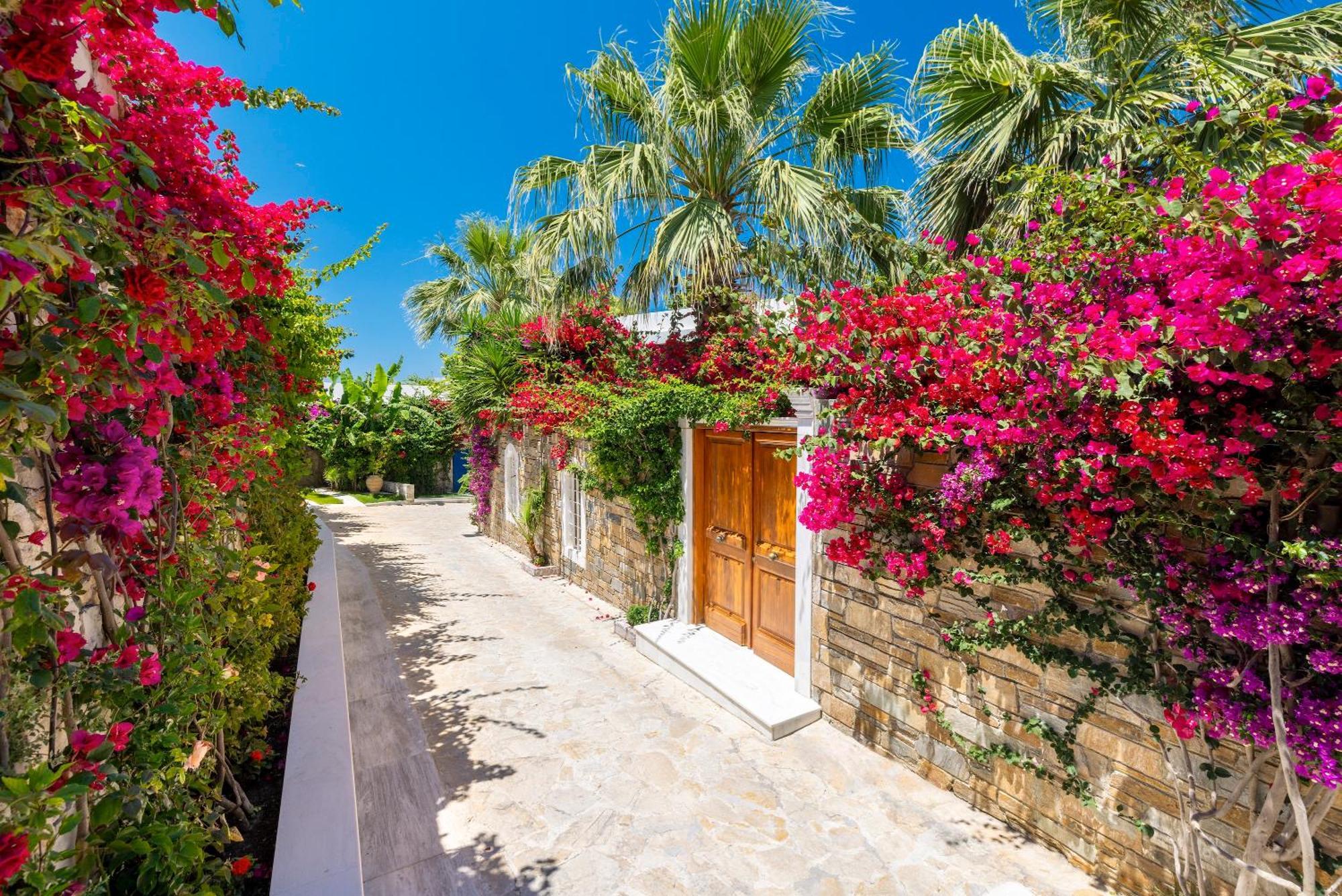 Villa 1 Chambre de Luxe avec Piscine Privative et Plage Privée