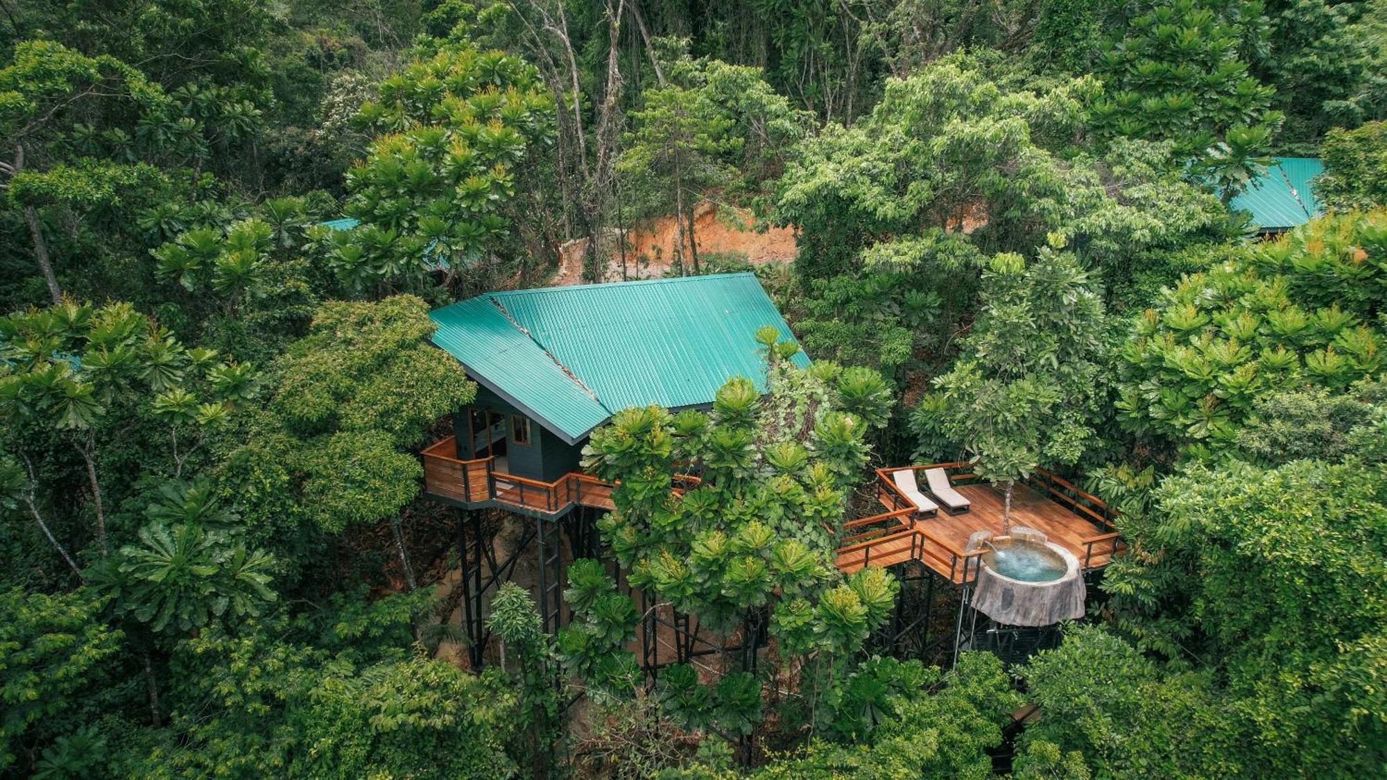 Jungle Tree House Adults Only