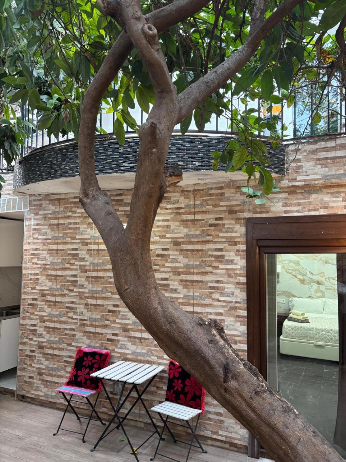 Studio avec Terrasse