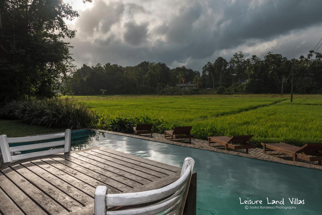 Superior Family Rooms with Rice Field View & Pool,1758375666:JPEG