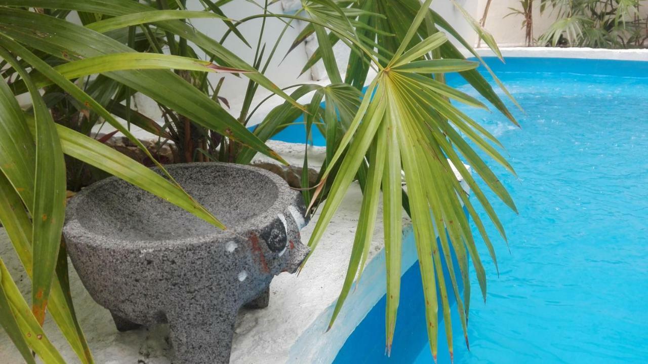 Comfort Triple Room with Shower,846010964:JPEG