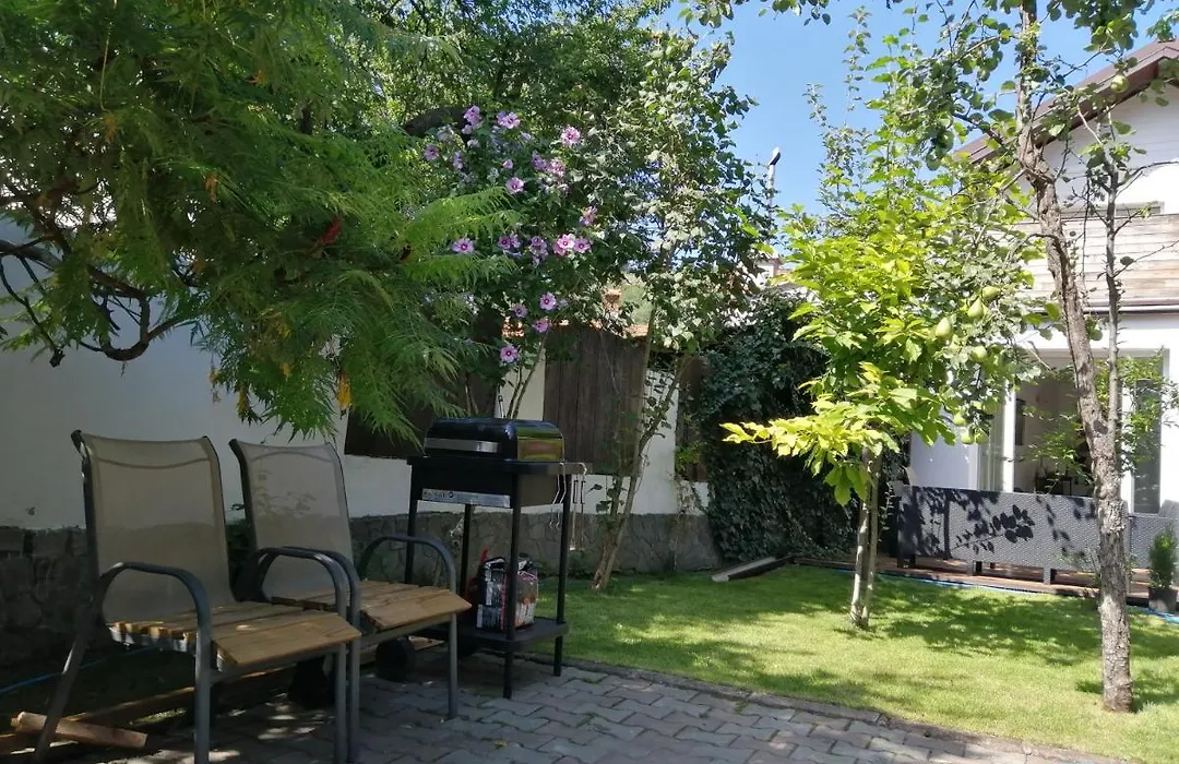 Casa Scheiana-1