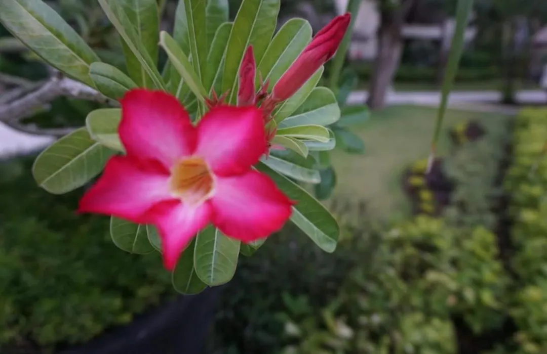 Ruby Nusa Dua Bali-1