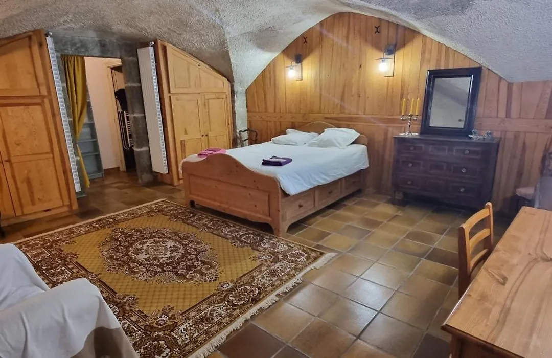 Maison au Loup - Superbe ancien hotel particulier du XVIe siècle au cœur de la vieille ville du Puy-1