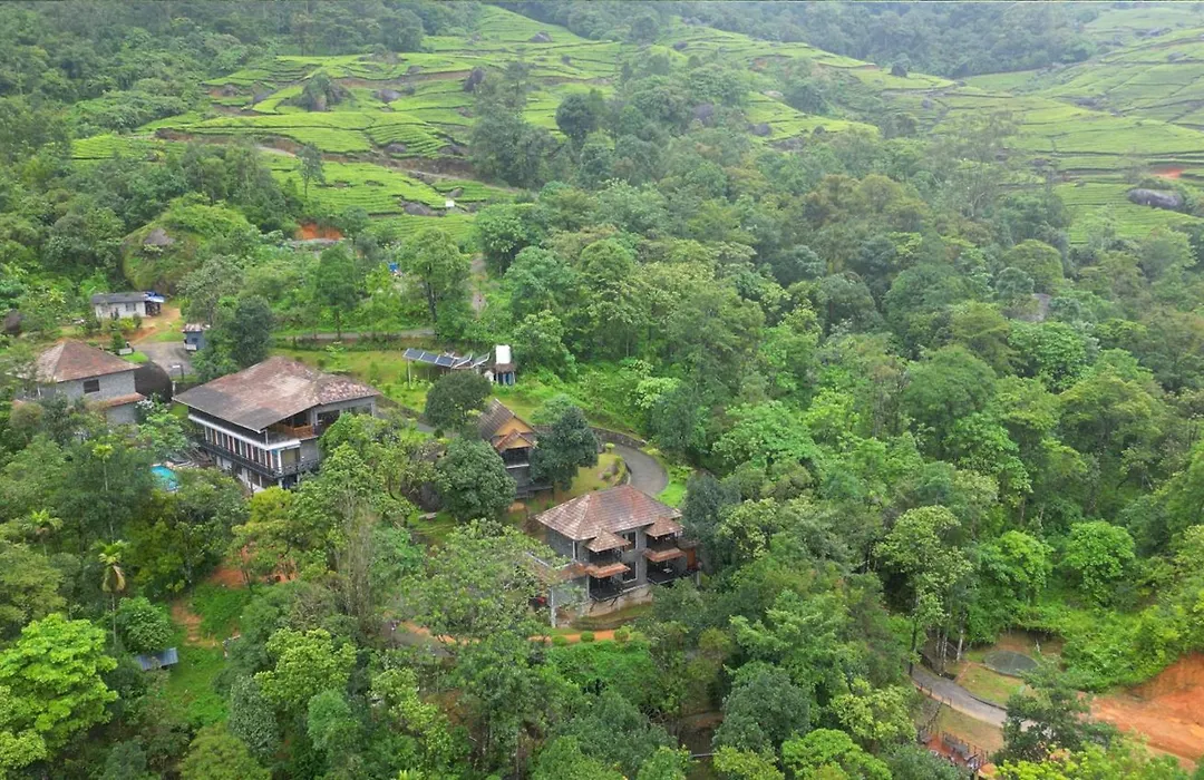 The Wild Trails Clarks Exotica , Munnar-1