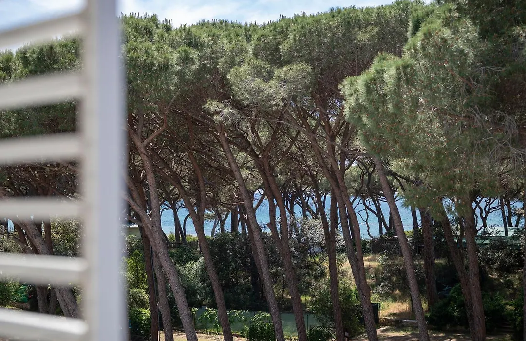 Hotel La Pineta-1