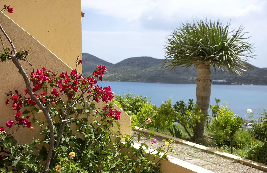 Elounda Heights (Adults Only)-1