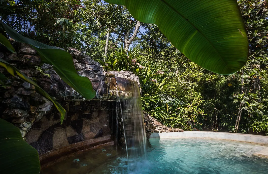 Yasmin Hill Longevity Oasis-1