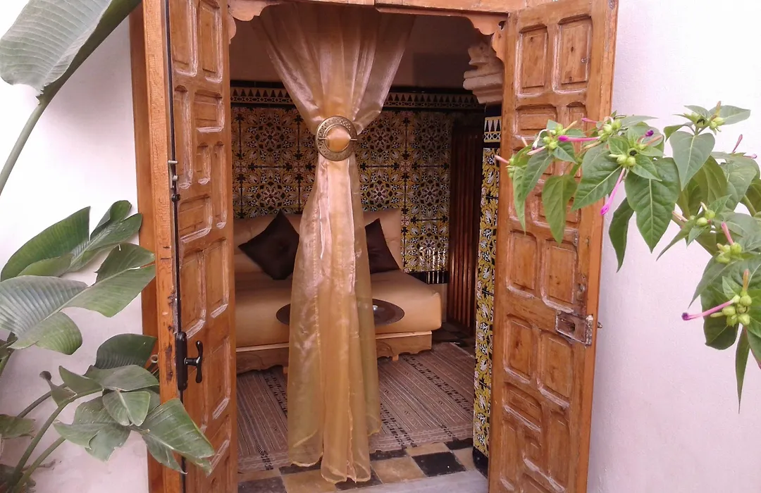 Riad El Bir-1