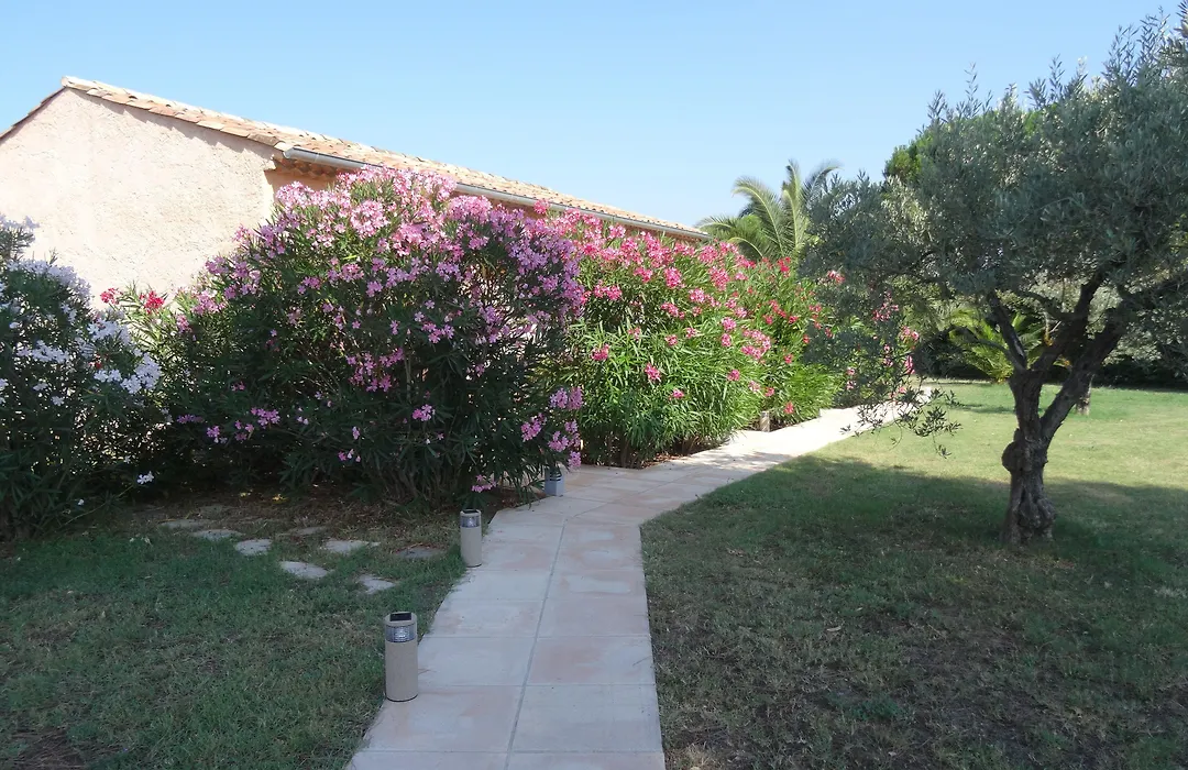 Chambres d'hôtes Villa Alizé-1
