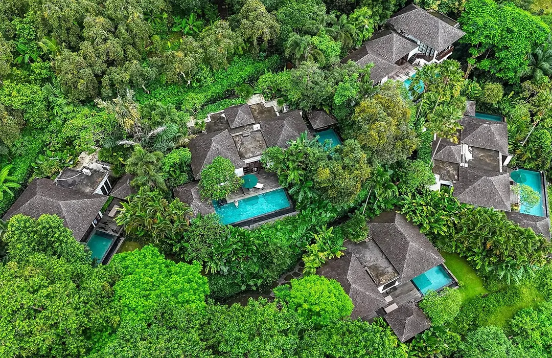 The Damai-1