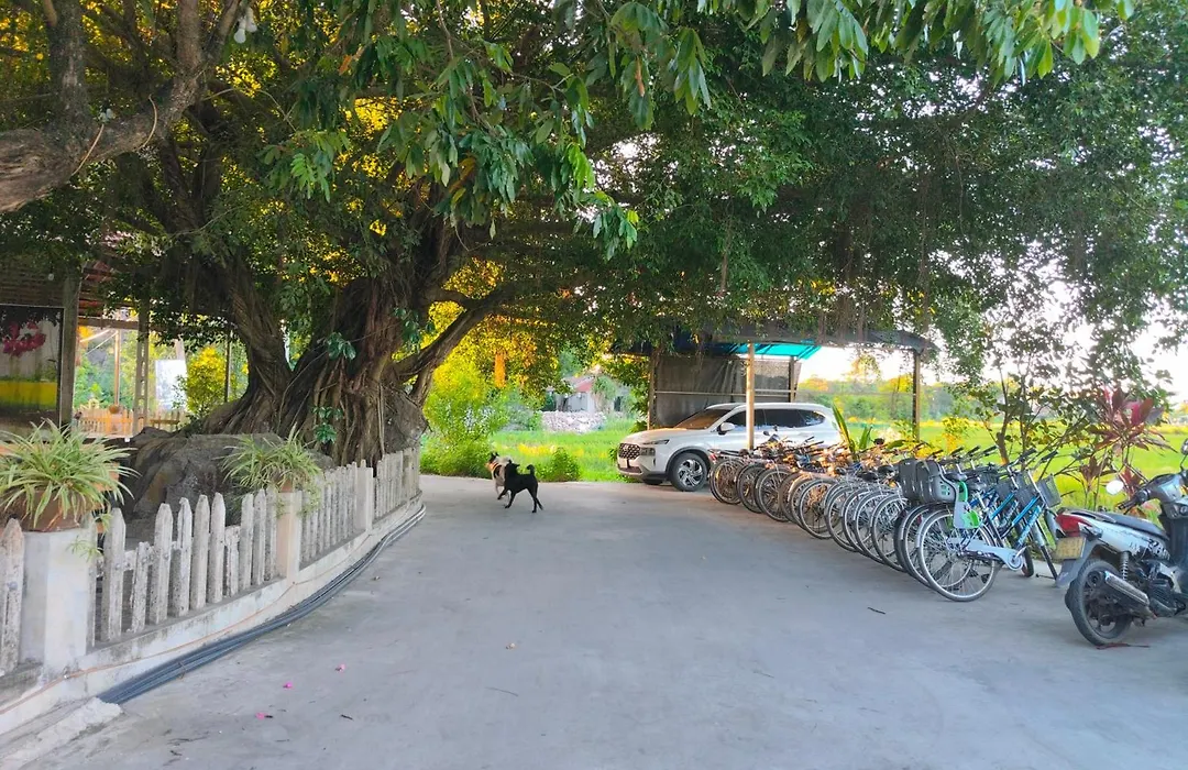 Tam Coc Sunshine Homestay-1