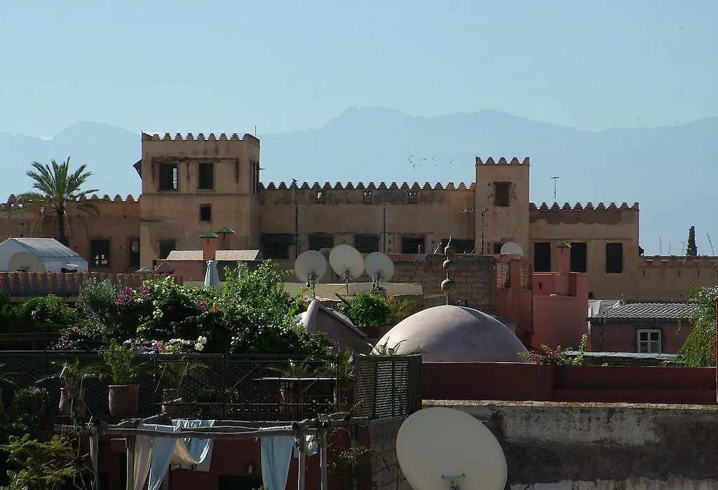 Riad Timila-1