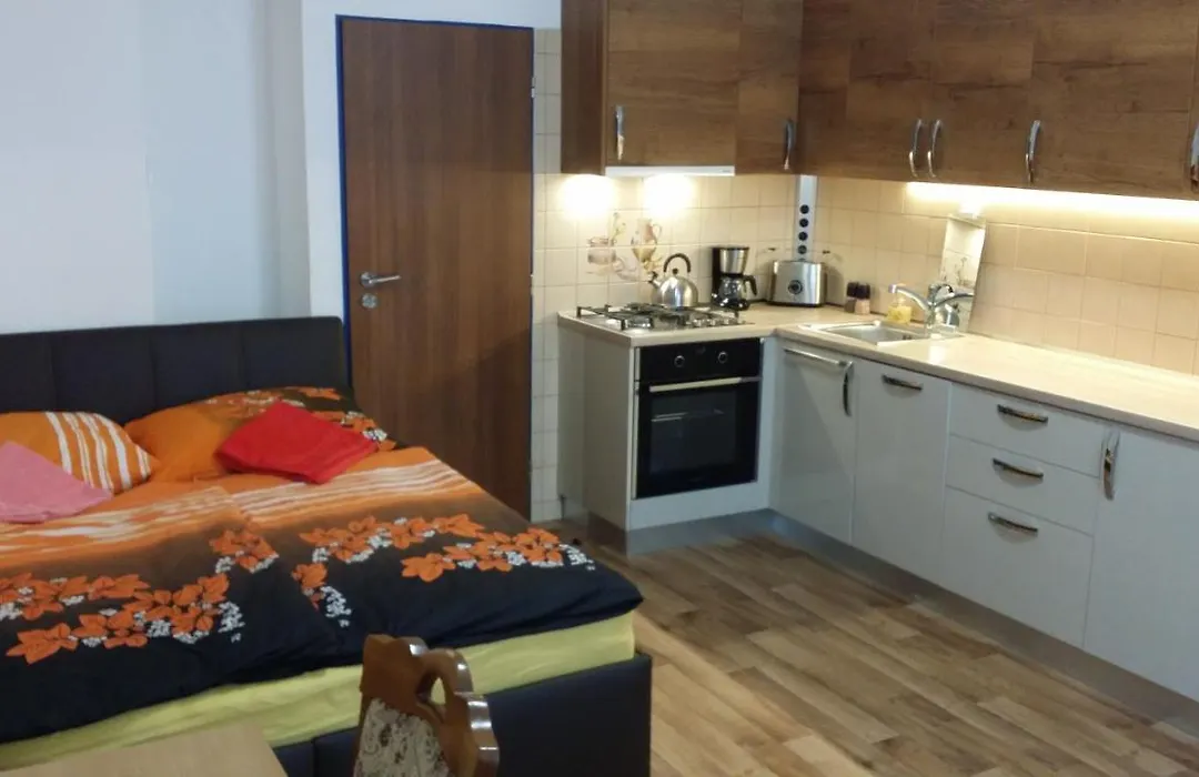 Room&Kitchen Next To Prague Castle-1
