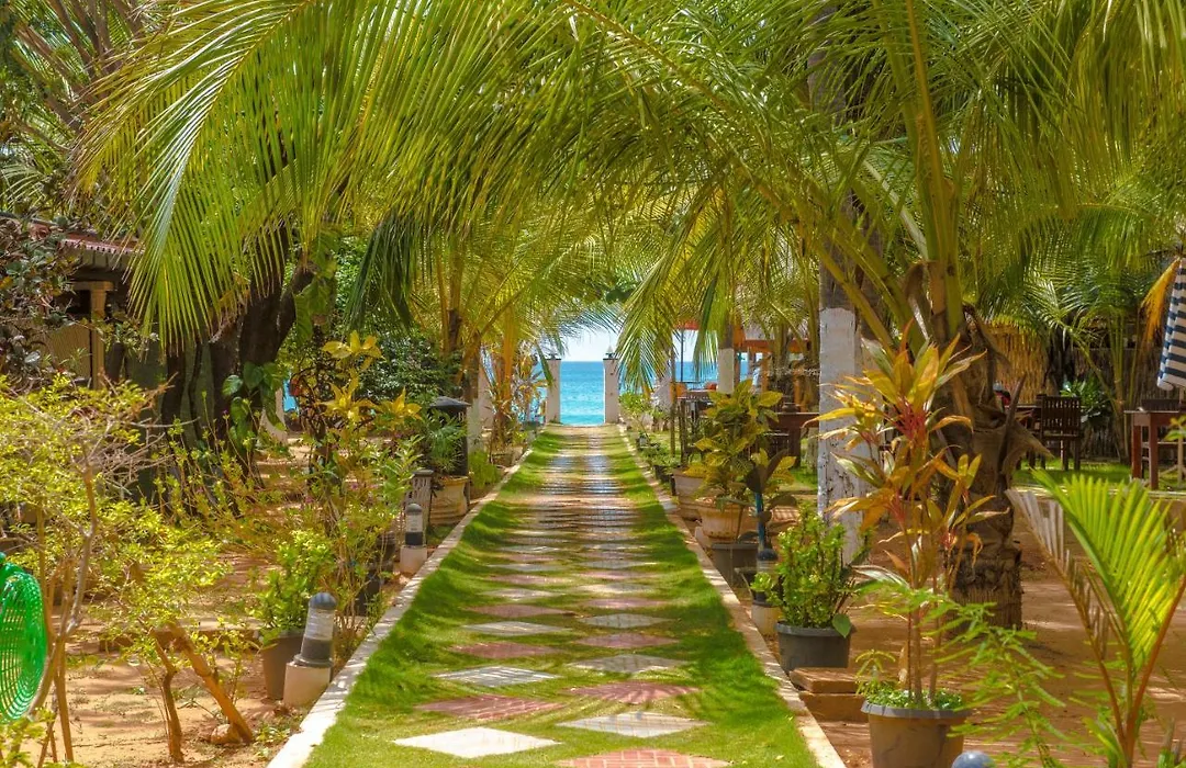 Coconut Beach Lodge-1