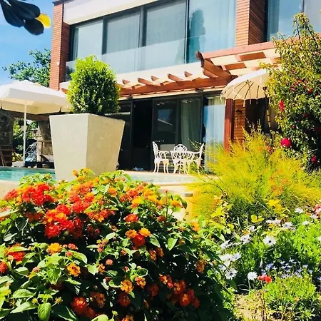 Villa No 5-3