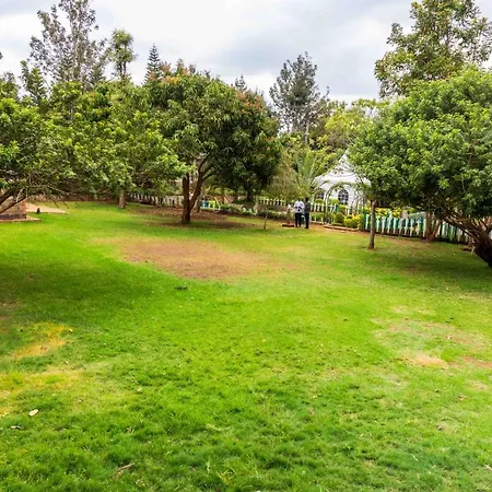 Olive Green Resort Nairobi-2