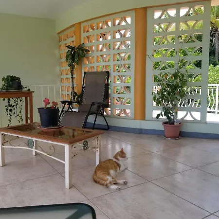 Chaudhry House Montego Bays- 2Nd Floor Apt-2