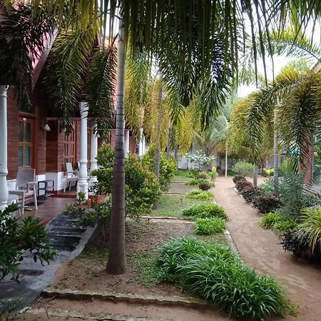 Elegant Green Beach Resort-2