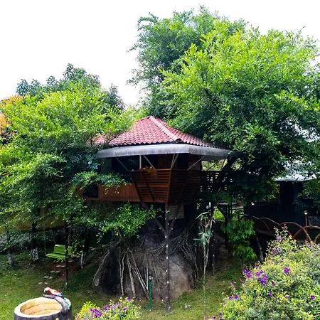 Treehouse Tabor Hills Resort Vagamon-3