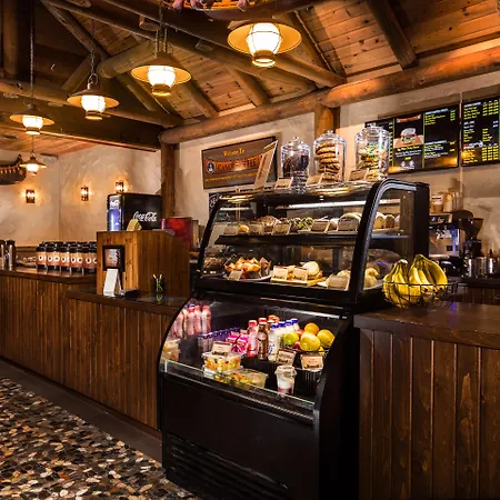 Great Wolf Lodge Waterpark Resort Niagara Falls - Rooms Review