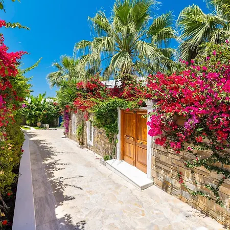 Porto Zante Villas And Spa-2