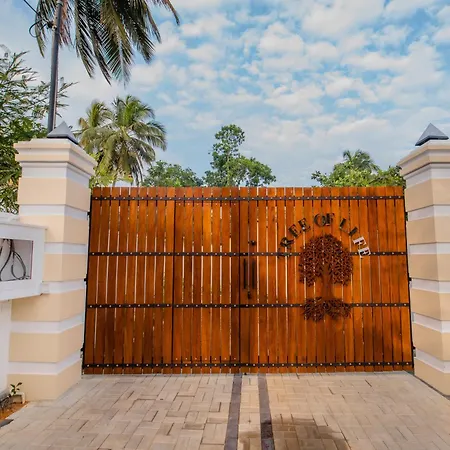 Tree Of Life Resort-3