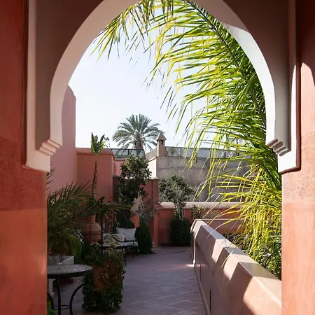 Riad Alili-3