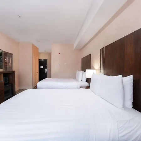 Prestige Cranbrook Hotel, BW Premier Collection-3