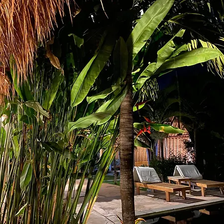Palm Green Hotel-2