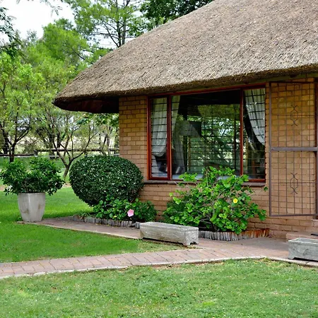 Owls Loft Guest House-2