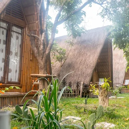 Balili Farm At Nacpan-2