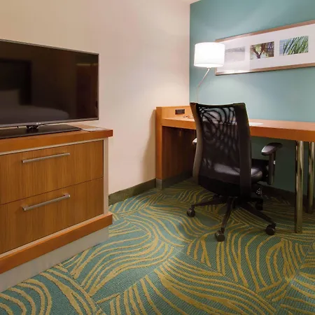 Springhill Suites By Marriott Orlando Lake Buena Vista South-2