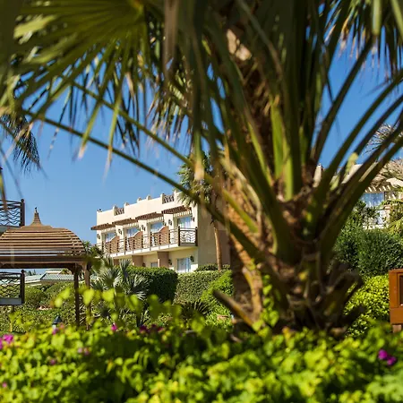 Concorde El Salam Sharm El Sheikh Sport Hotel-3