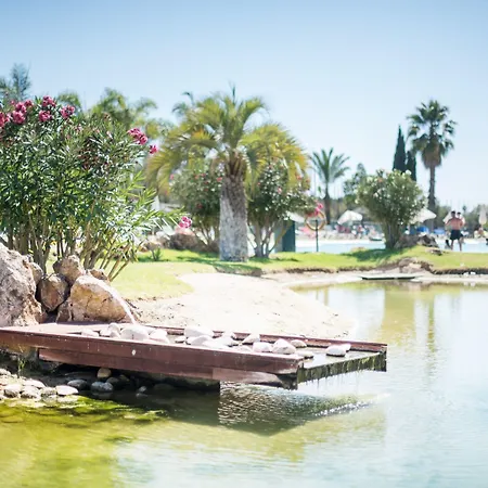Yellow Alvor Garden-3