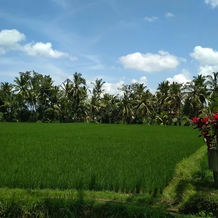 Junjungan Ubud Hotel And Spa-3