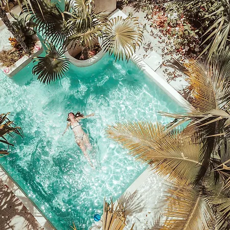 Hotel Buenavista Bacalar Jungle Experience-2