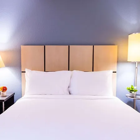 Sonesta Simply Suites Arlington Entertainment District-3
