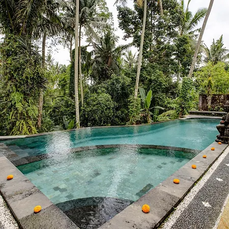 Dupa Ubud-3