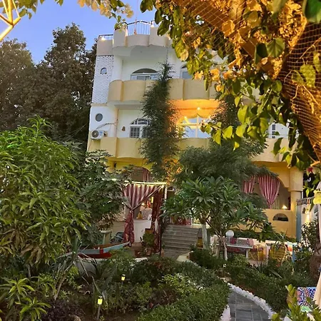 The Mango Guest House-3