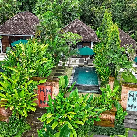 The Damai-2