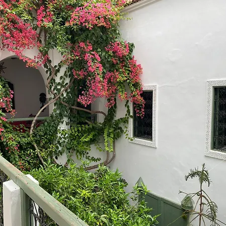 Riad Timila-3