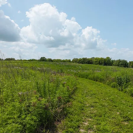 Lied Lodge At Arbor Day Farm-3