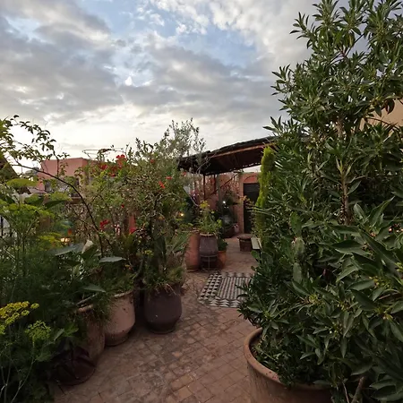 Riad Maizie-2