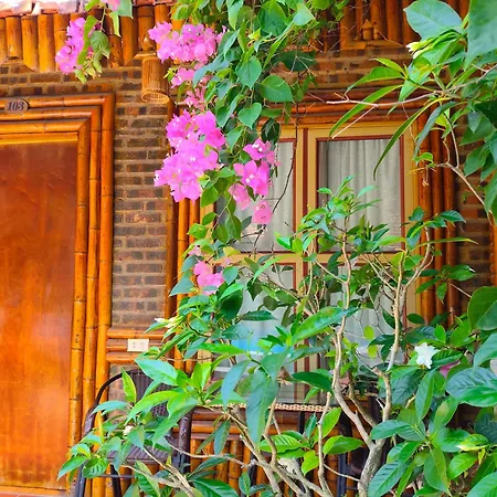 Tam Coc Sunshine Homestay-3