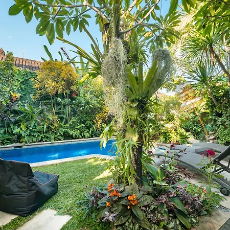Angel House Ubud Eco Villa-2