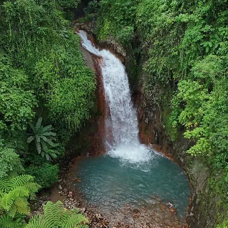 Pulangbato Falls Mountain Resort-2